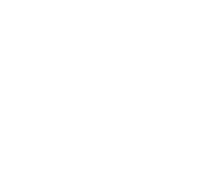 IMT Logo Weiß Internationaler Museumstag Logo